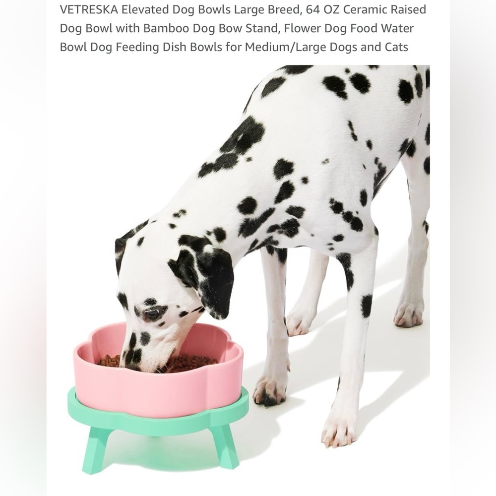 Pet Feeding Bowl with Stand - Pink and Green